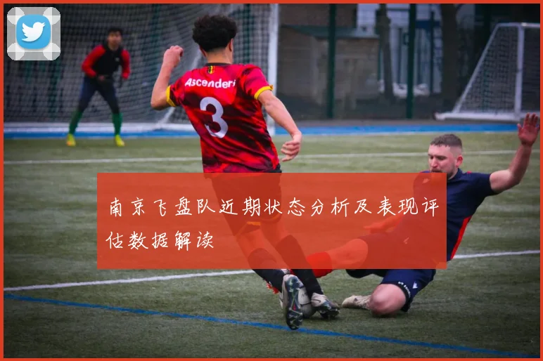 南京飞盘队近期状态分析及表现评估数据解读