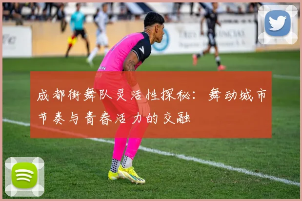 成都街舞队灵活性探秘：舞动城市节奏与青春活力的交融