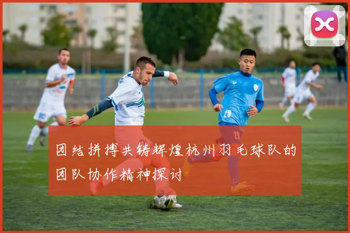 团结拼搏共铸辉煌杭州羽毛球队的团队协作精神探讨