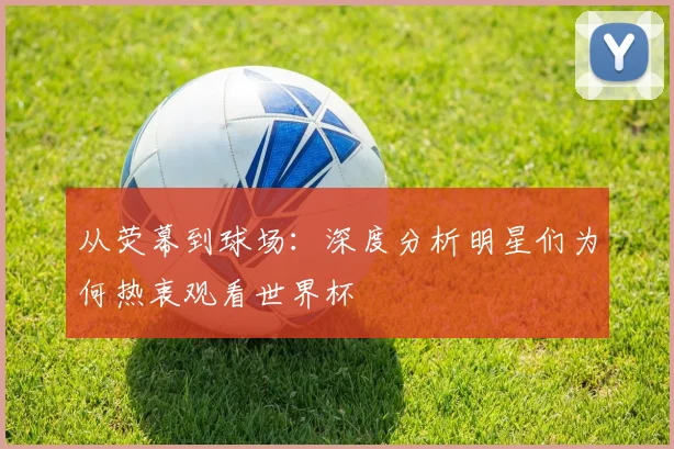 从荧幕到球场：深度分析明星们为何热衷观看世界杯
