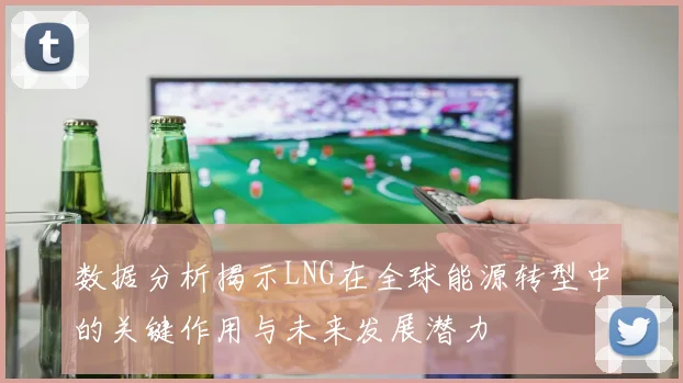 数据分析揭示LNG在全球能源转型中的关键作用与未来发展潜力