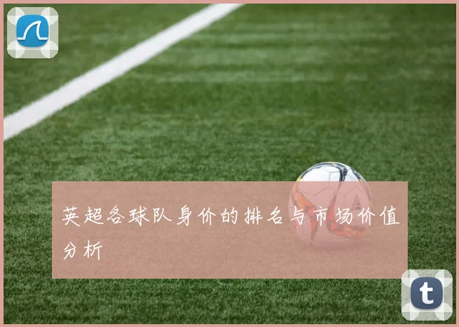 英超各球队身价的排名与市场价值分析